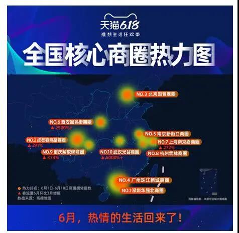 猫1.jpg