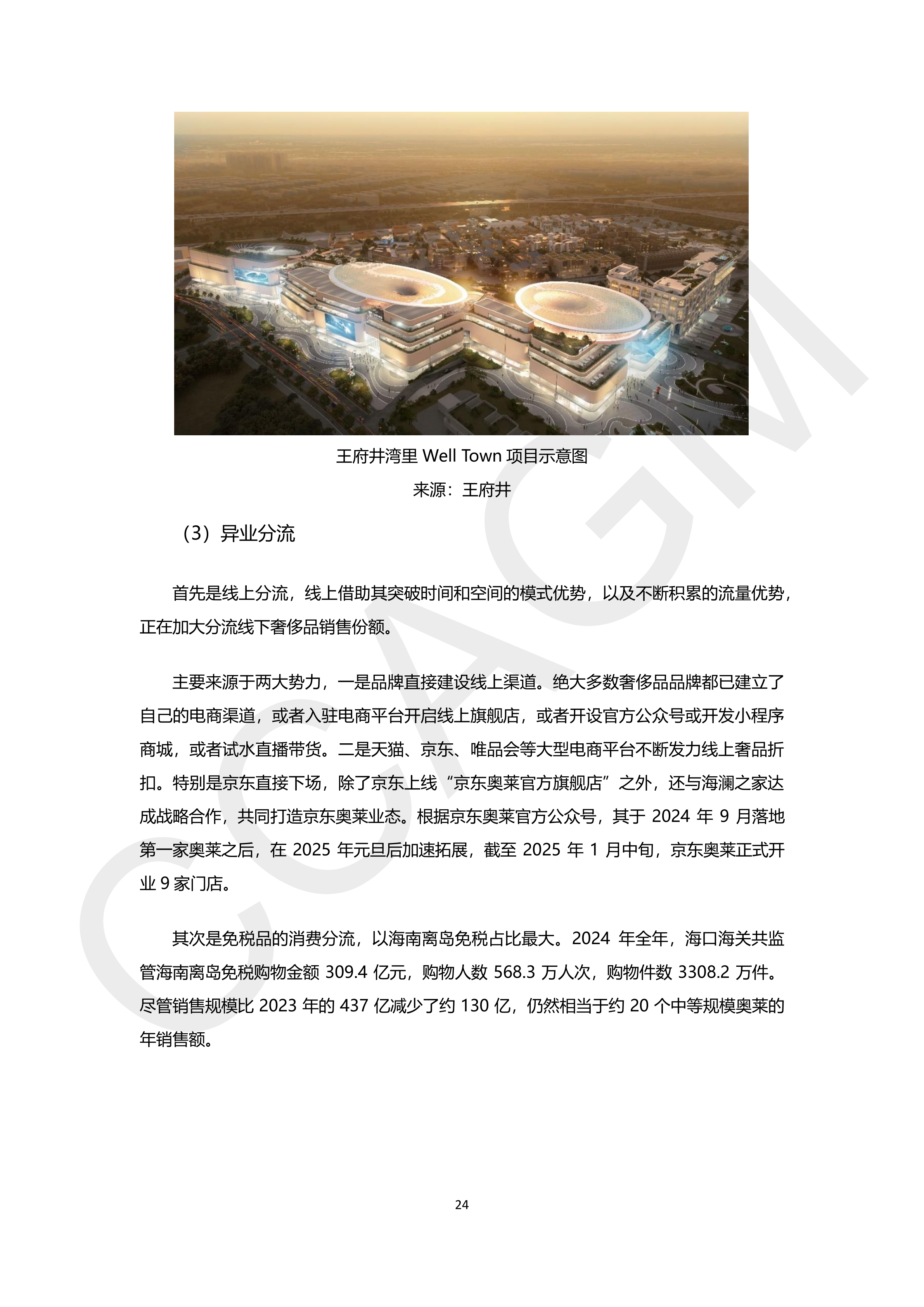 2024-2025年中国奥特莱斯行业白皮书(水印版)_26.png